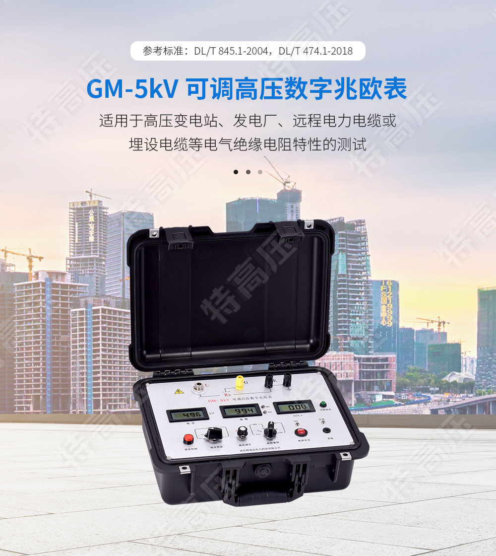 GM-5kV 可調高壓數字兆歐表(圖1)
